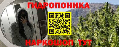мяу мяу мука Пушкино