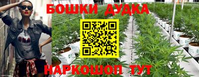 тгк Пугачёв
