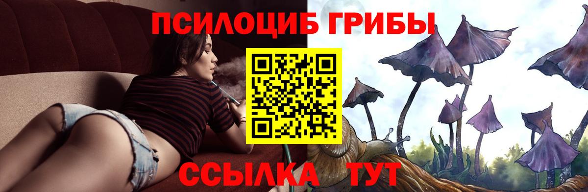 Псилоцибиновые грибы ЛСД Славянск-на-Кубани